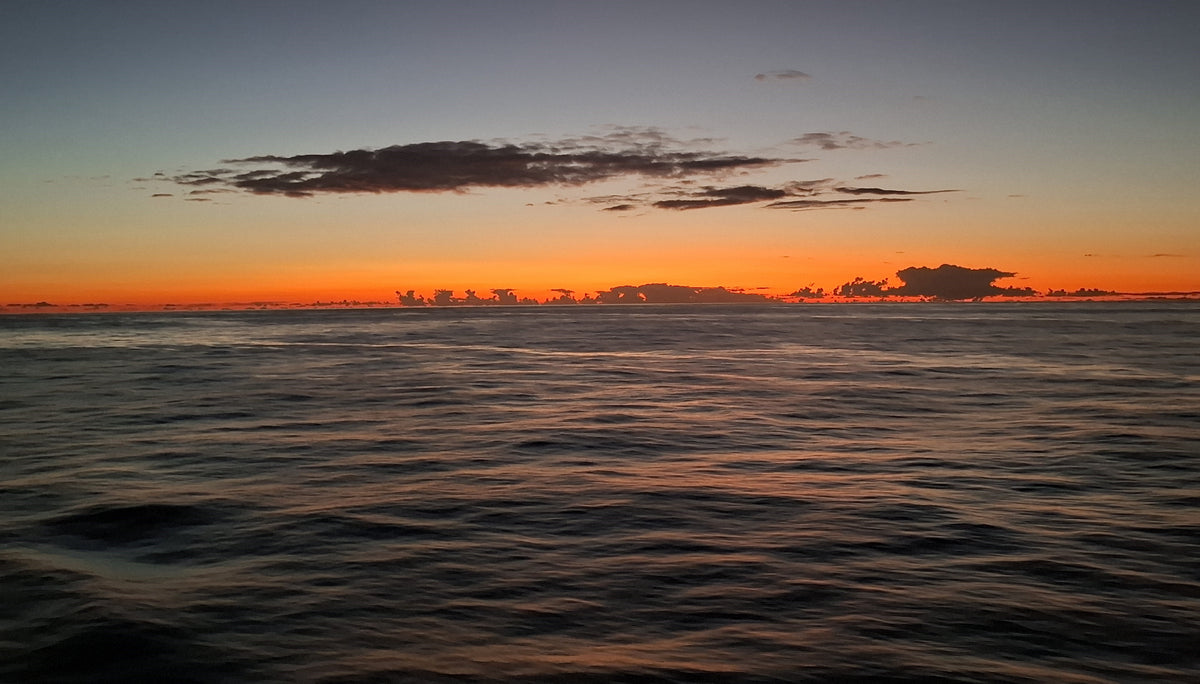 Sunset over the Pacific- Allen Blacklidge