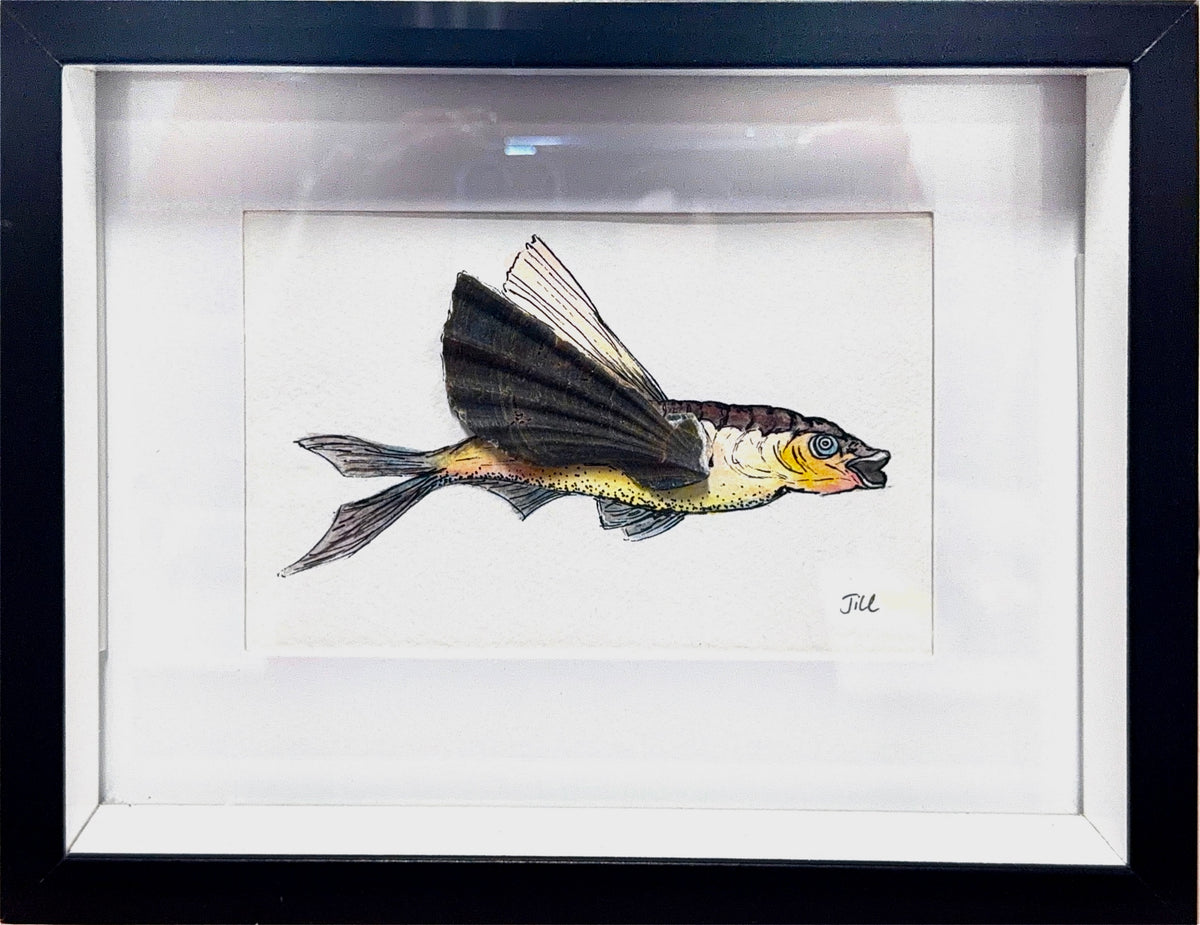 Flying Frank - Jillian Holmes