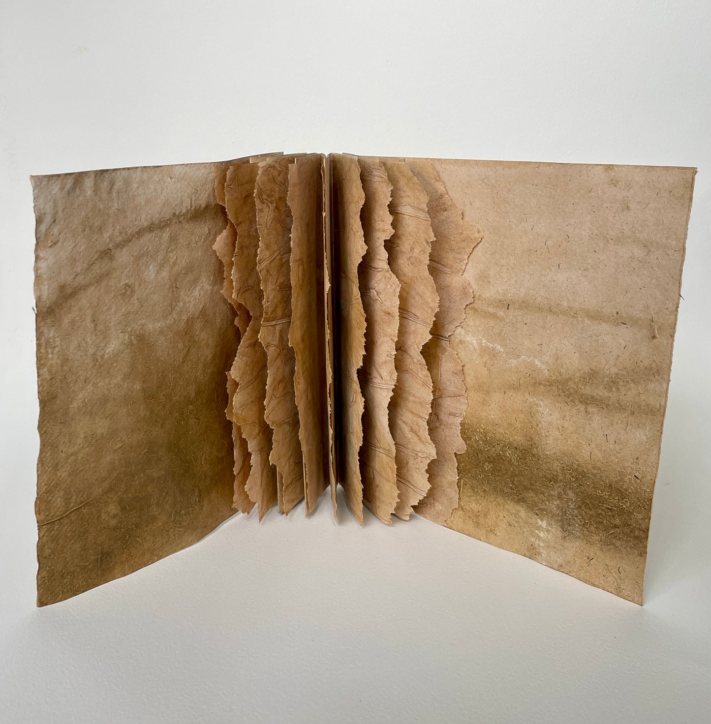 The Book of Muddy Waters - Heather Cowie