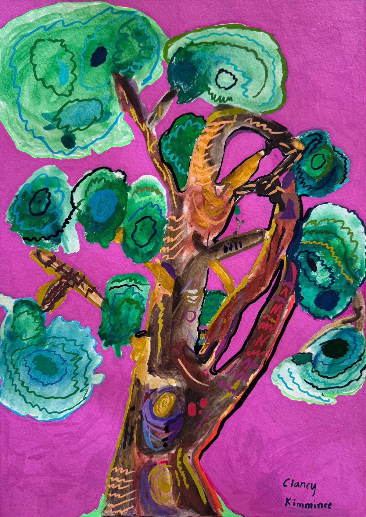 Scribbly Gum- Clancy Kimmince