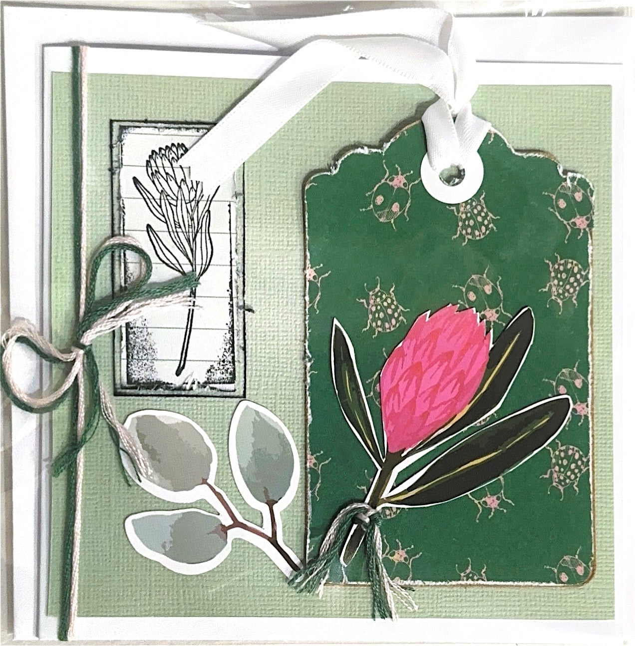 Protea - blank card