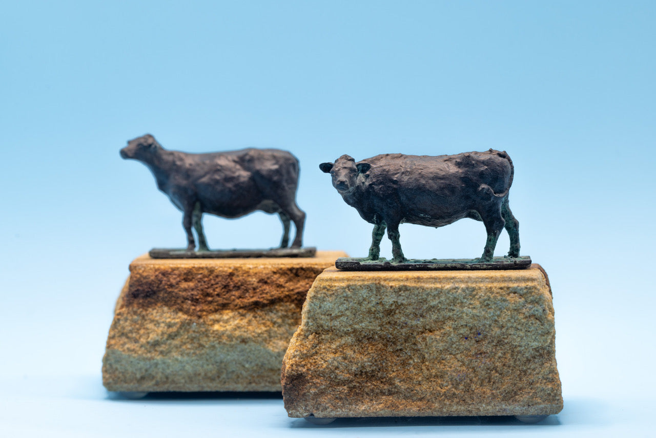 English cow 1 & 2