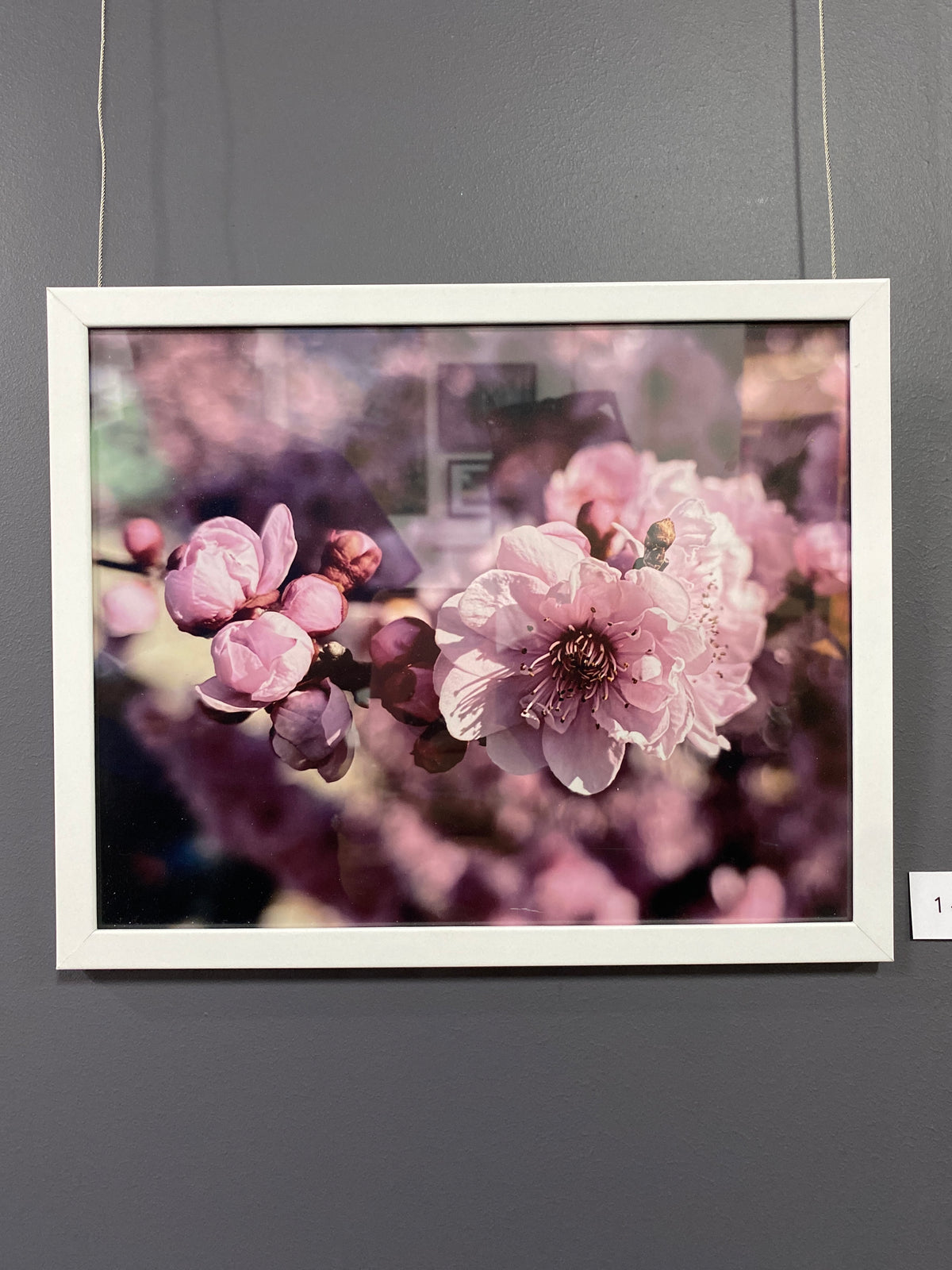 Blossom and Bloom - Josee Romer