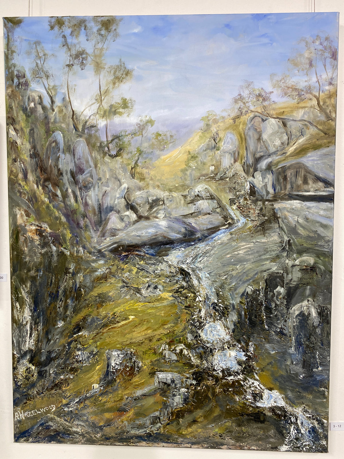 Aussie Bush- Anne Hazelwood