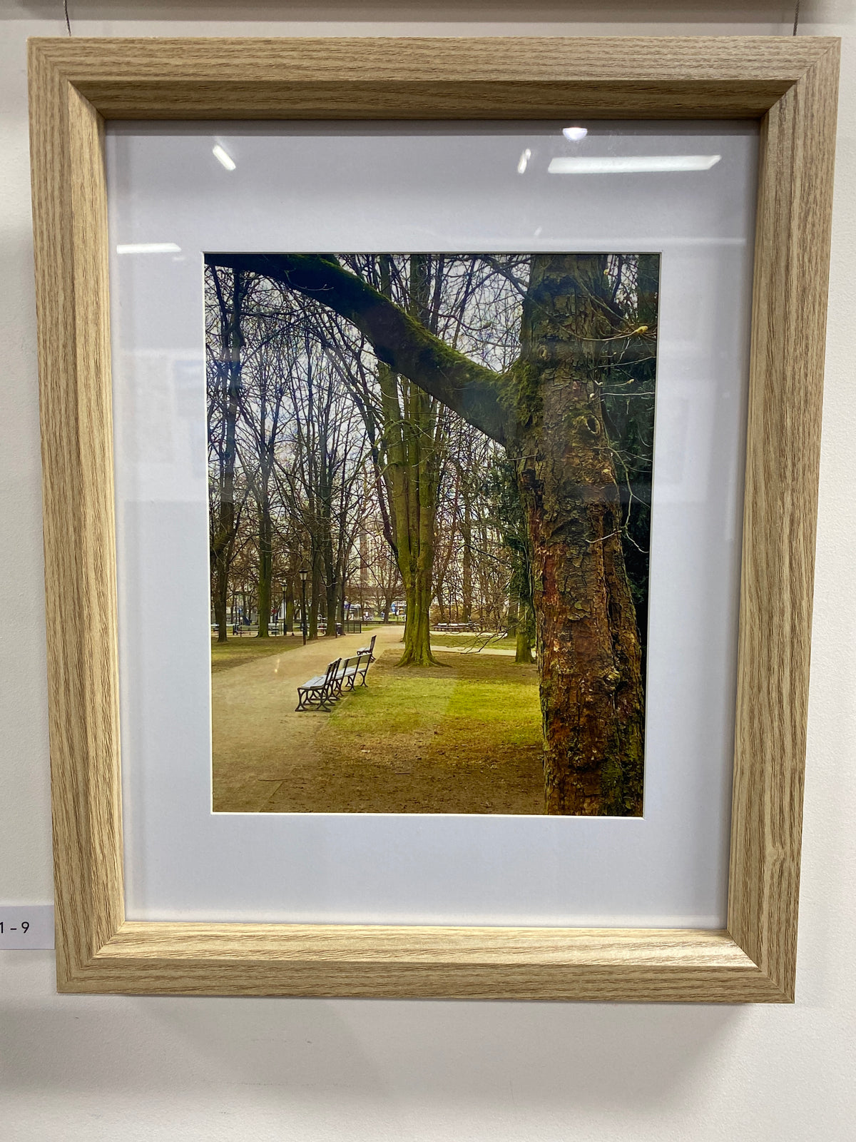 Mouldy Tree- Sharyn Fennell