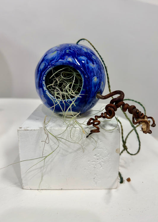 Little Blue Haven - Juanita Eddy