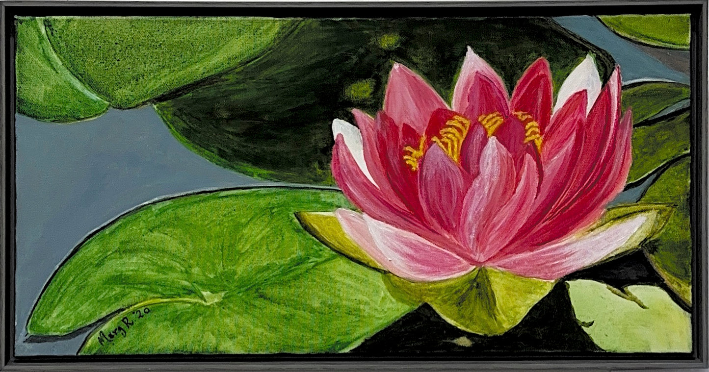 Water Lily - Bright Pink