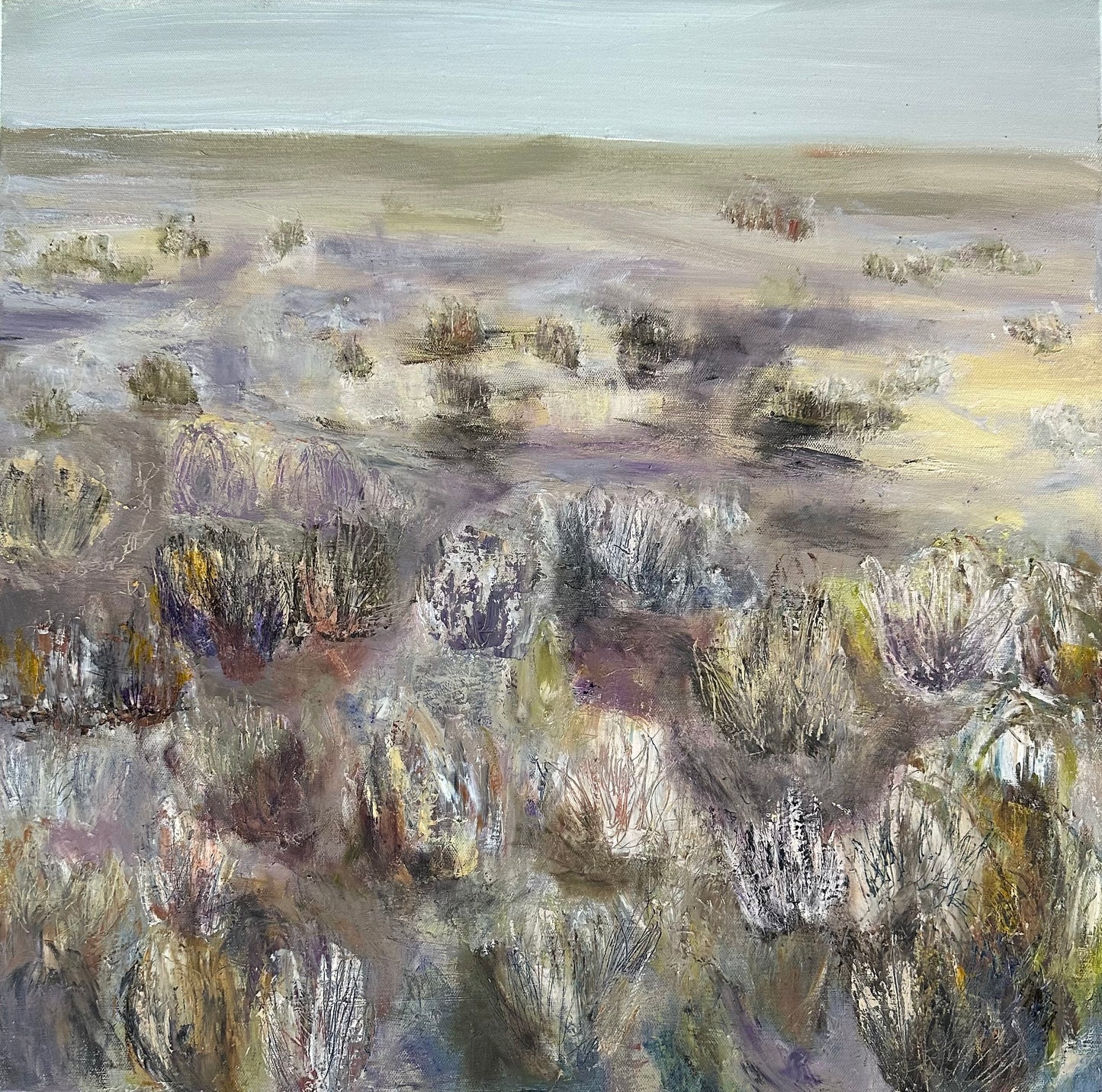 Kerry Dunne - Desert Plants 2