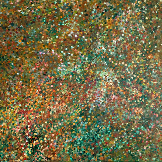 Lightening Ridge - Searching for Opals-  Edward Cowie