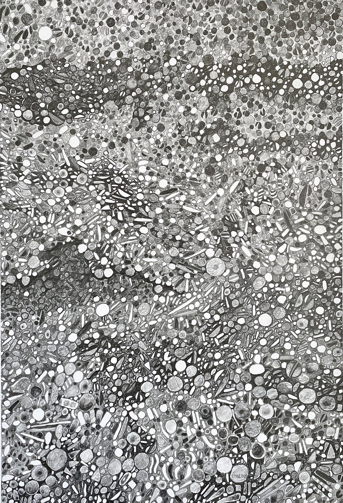Sedimentation Signals- Edward Cowie