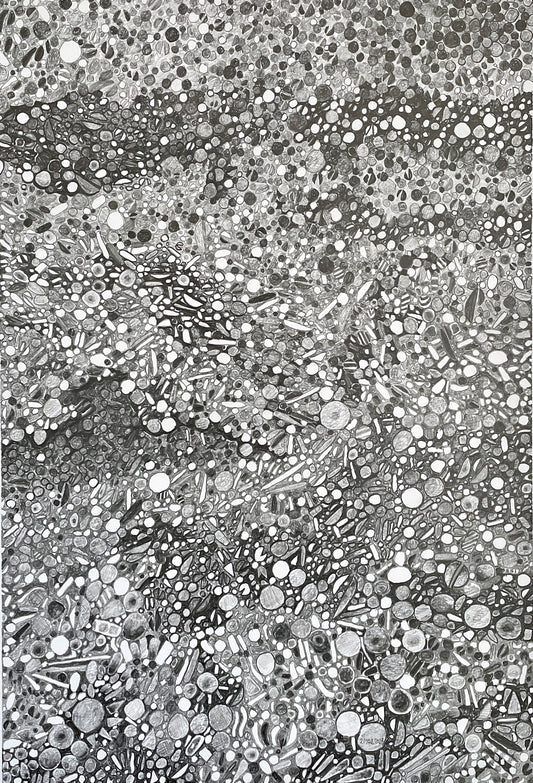 Sedimentation Signals- Edward Cowie