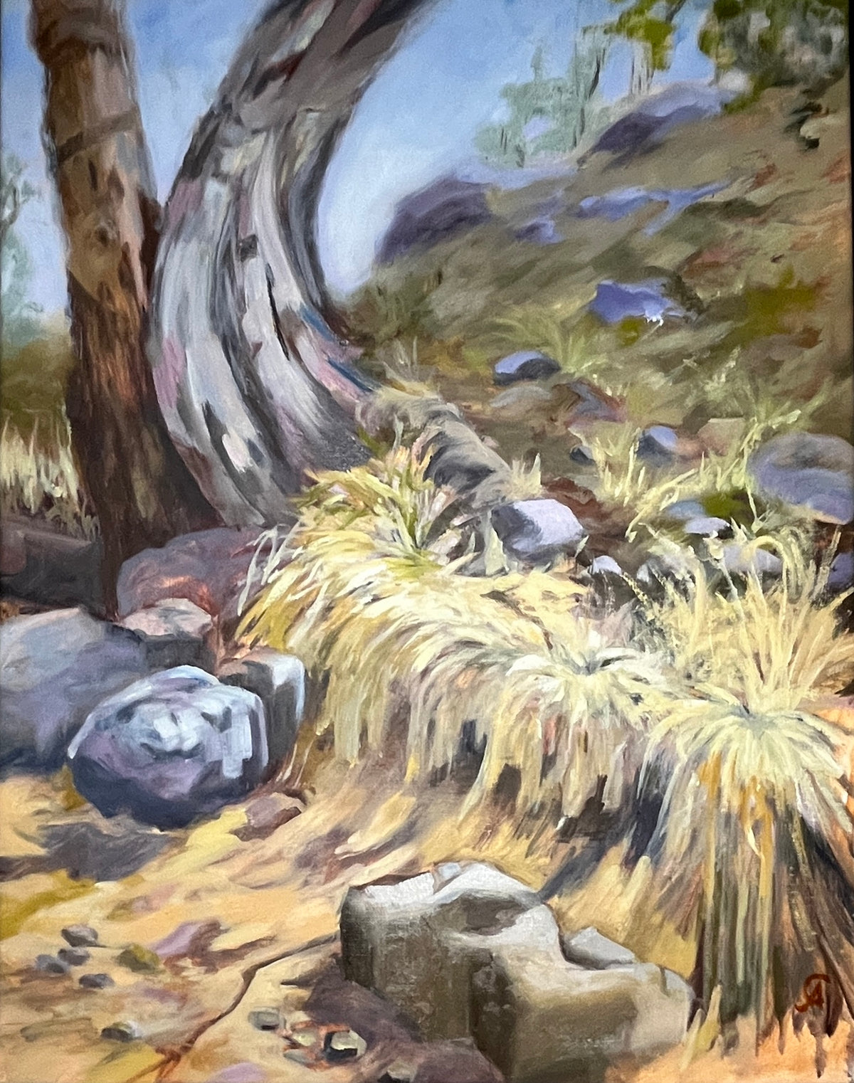 Arroyo in the Well Paddock - Angela Croll