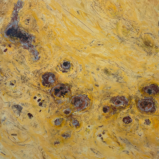 Dry Lakes in the Sand 2-Heather Cowie