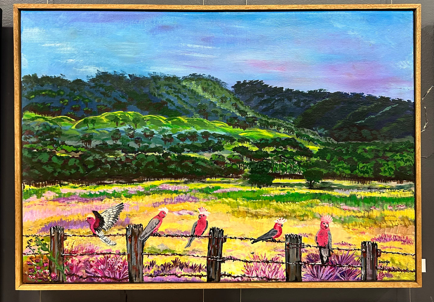 Galahs - Tamara Hope