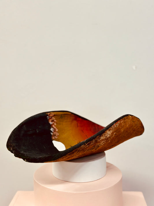 '1. Coolamon' by Josh Williams