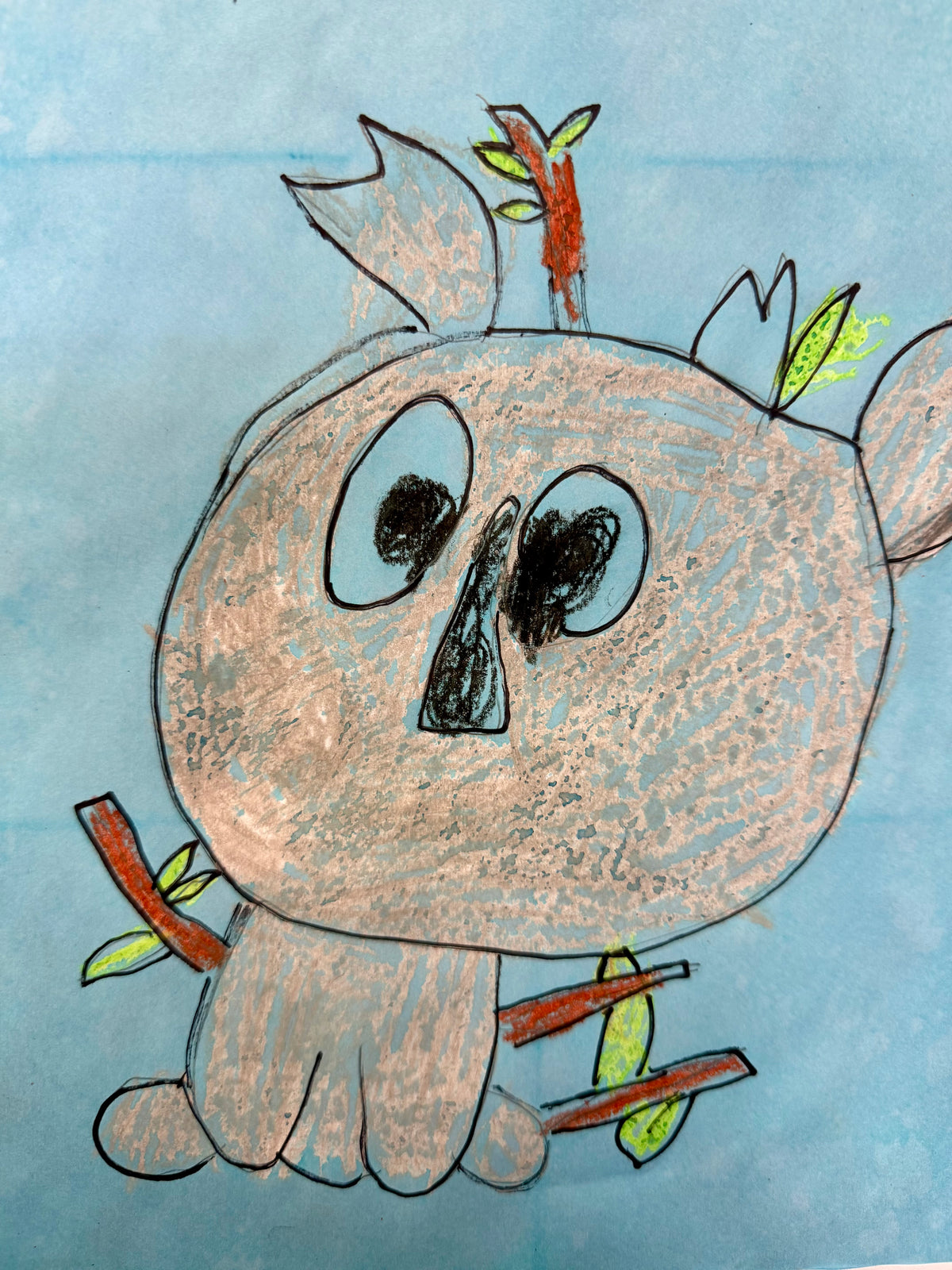 Mr Koala-  Sky-Lea Steven