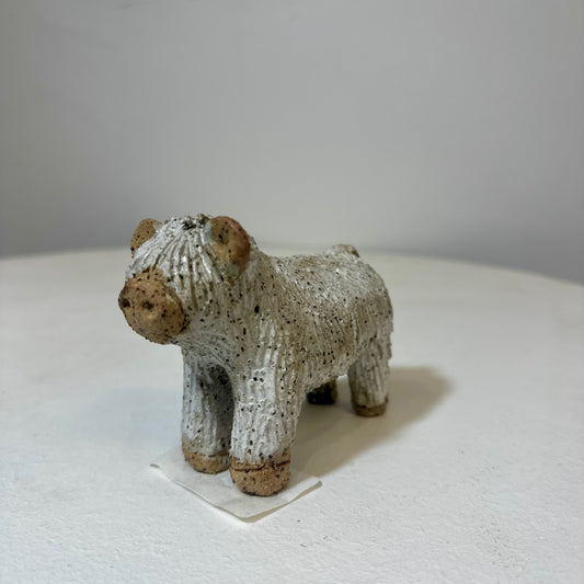 Highland Cow - White