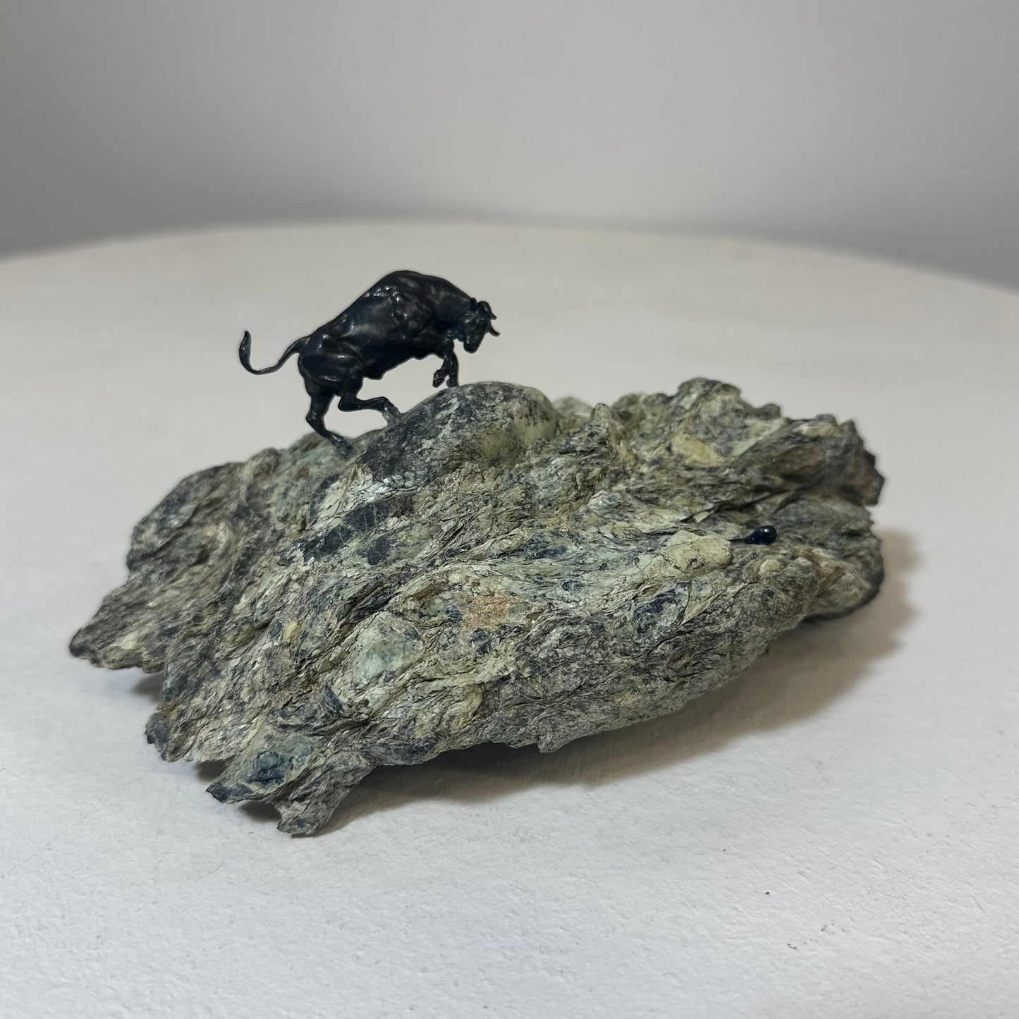 Rogue Bull