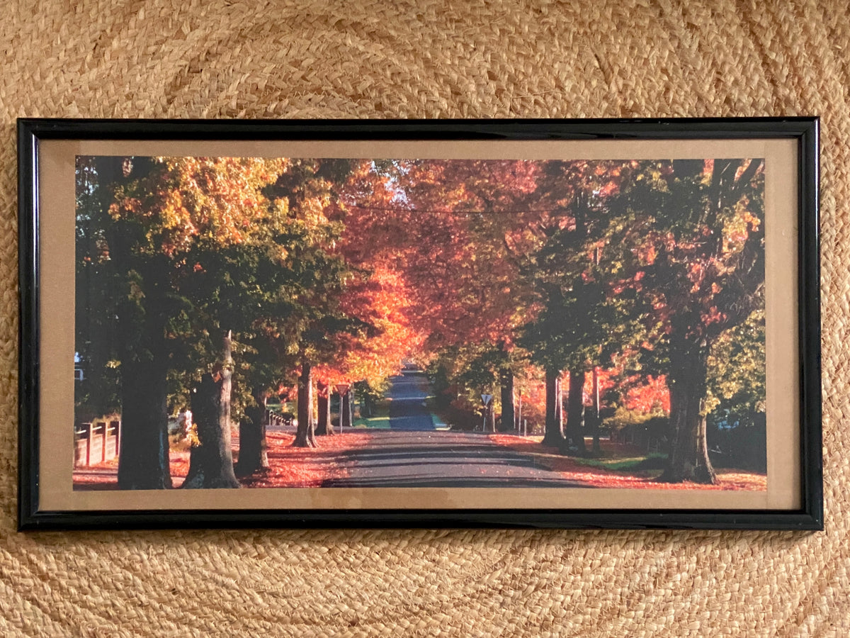 Autumn In Tenterfield- Tyrone Ryan