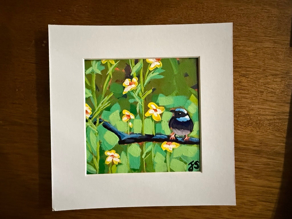 A Quiet Perch-  Jessira Saunders