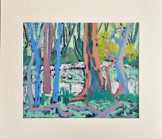 Impressions Along the Gwydir: 1