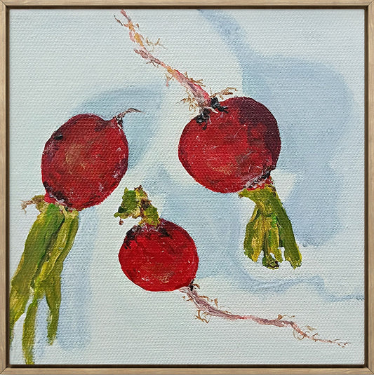 Anna Davi - Kylie's Radishes