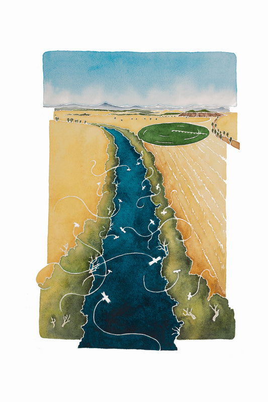 5. Maquarie River Narromine *