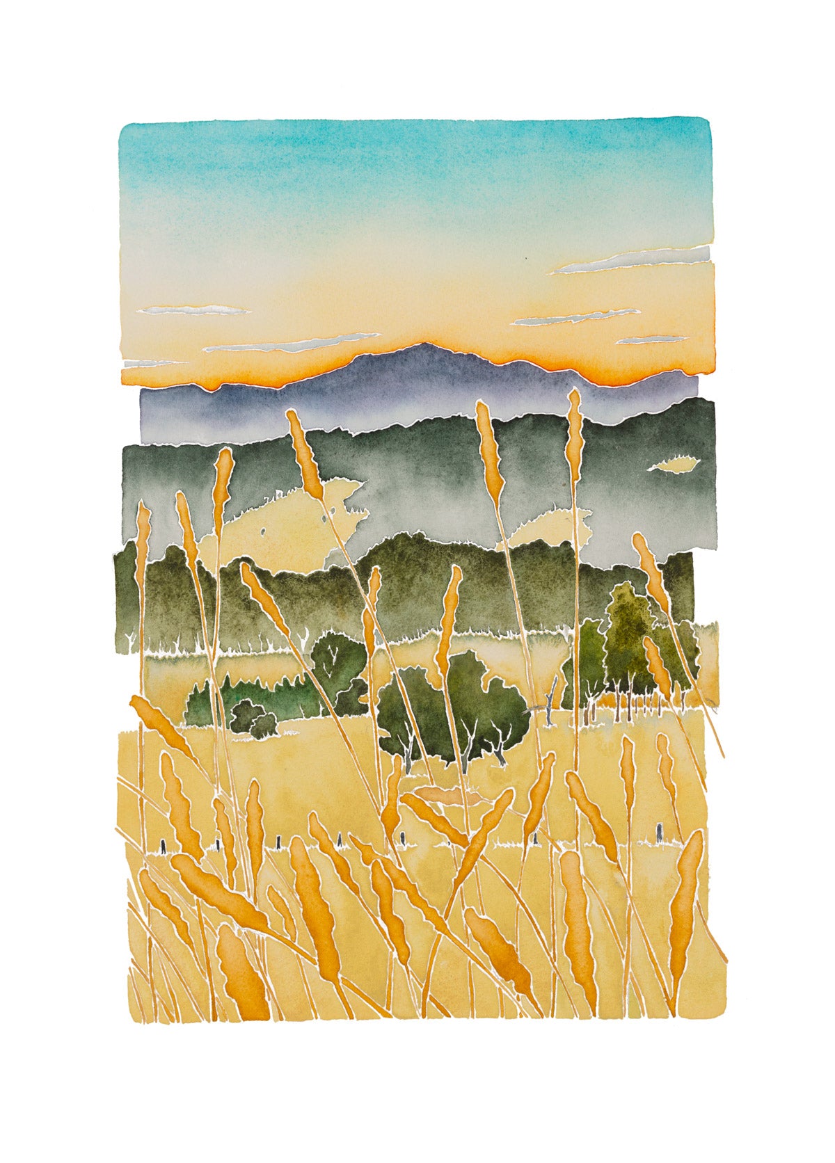 10. Summer Morning near Sapphire, Inverell *