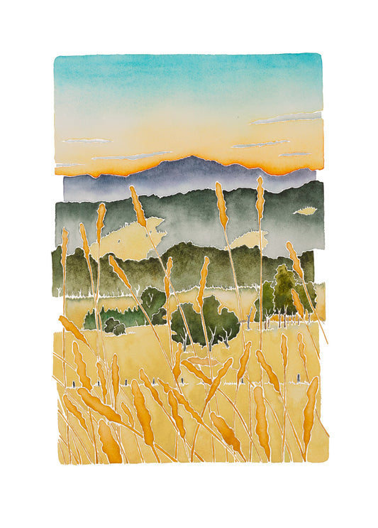 10. Summer Morning near Sapphire, Inverell *