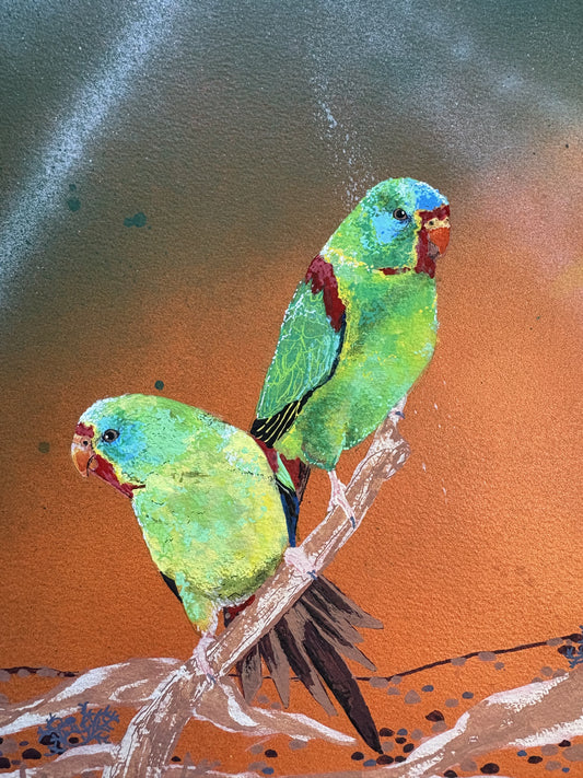Gabrielle Bisaro ( Bisaro World ) - Swift Parrots