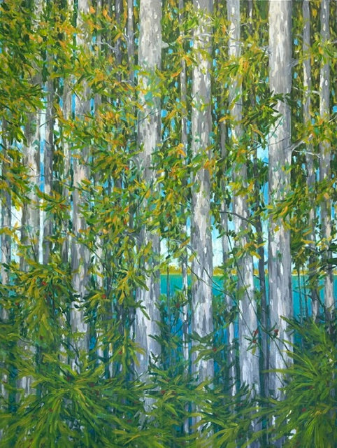 Through the Trees and Across the Bay- Peter Champion