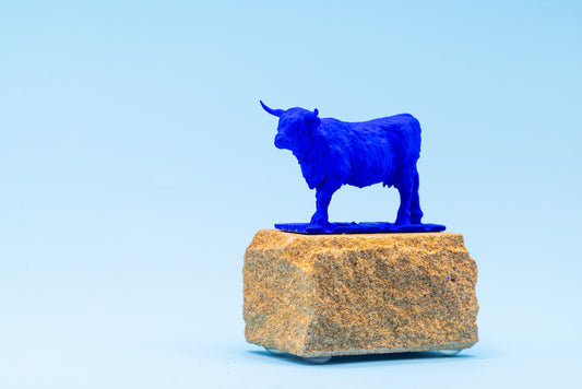 Blue Highland Cow