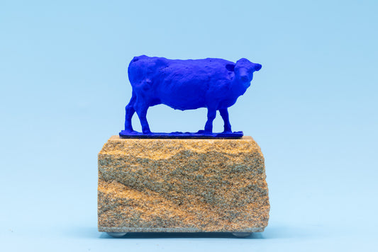 Blue English Cow