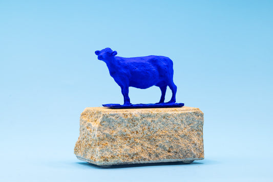 Blue English Cow