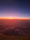 Flight - Patrick Lawlor