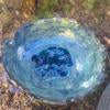 Coil Bowl - Robby O'Brien