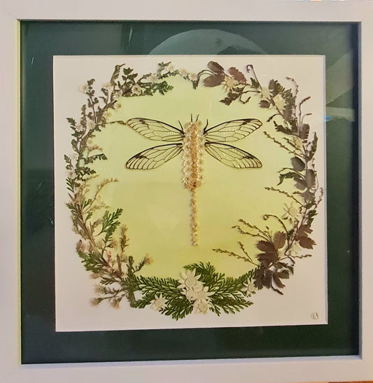 Dragonfly Dreaming
