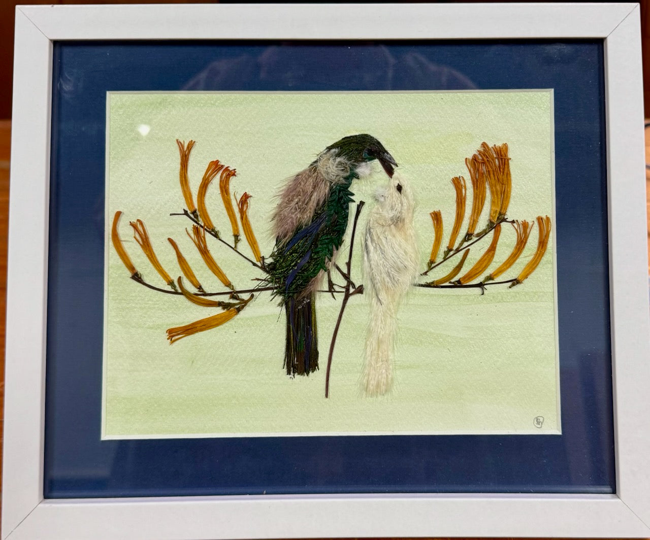 Tui Friendship